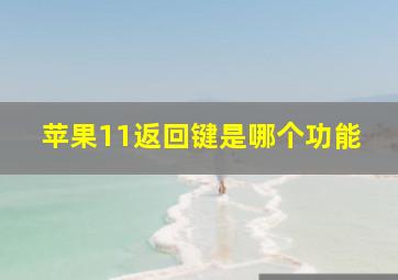 苹果11返回键是哪个功能