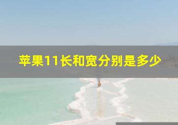 苹果11长和宽分别是多少