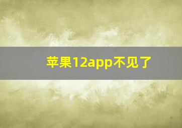 苹果12app不见了