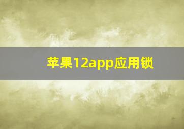 苹果12app应用锁