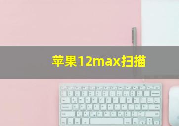 苹果12max扫描