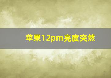 苹果12pm亮度突然