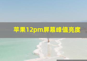 苹果12pm屏幕峰值亮度