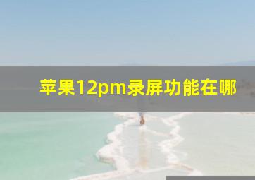 苹果12pm录屏功能在哪