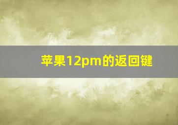 苹果12pm的返回键