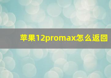 苹果12promax怎么返回