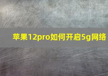 苹果12pro如何开启5g网络