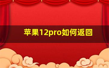 苹果12pro如何返回