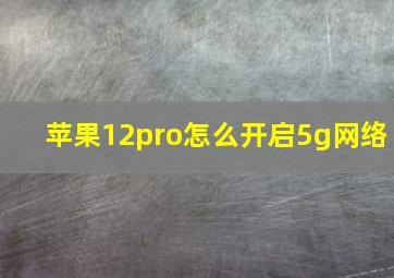 苹果12pro怎么开启5g网络