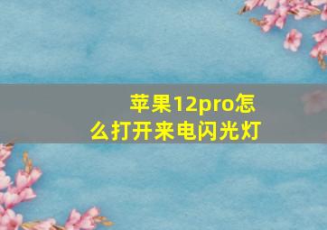 苹果12pro怎么打开来电闪光灯