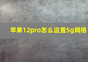 苹果12pro怎么设置5g网络