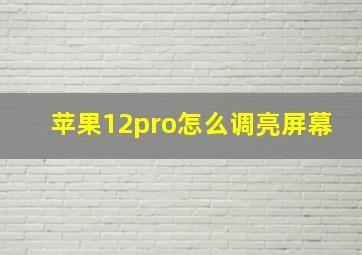 苹果12pro怎么调亮屏幕