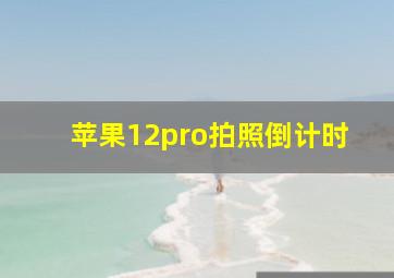 苹果12pro拍照倒计时