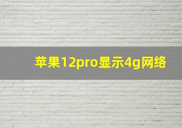 苹果12pro显示4g网络