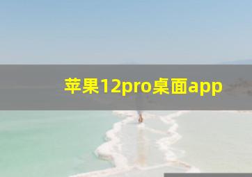 苹果12pro桌面app