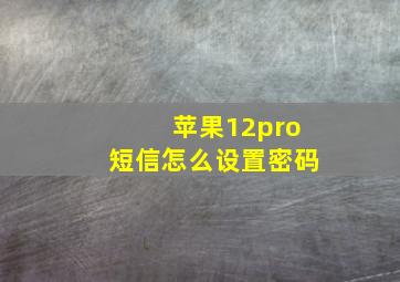 苹果12pro短信怎么设置密码