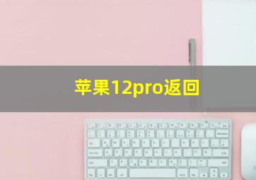 苹果12pro返回