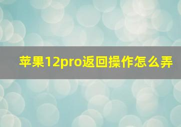 苹果12pro返回操作怎么弄