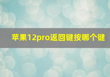 苹果12pro返回键按哪个键