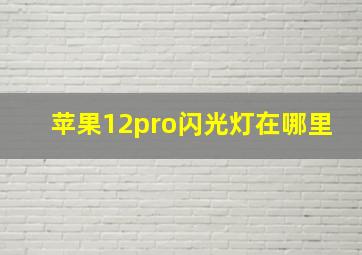 苹果12pro闪光灯在哪里