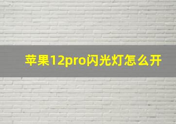 苹果12pro闪光灯怎么开