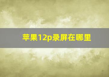 苹果12p录屏在哪里