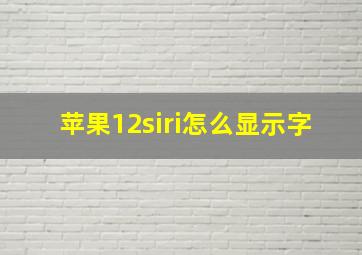 苹果12siri怎么显示字