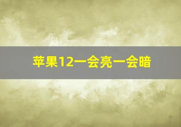 苹果12一会亮一会暗