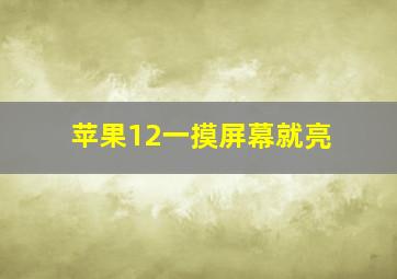 苹果12一摸屏幕就亮