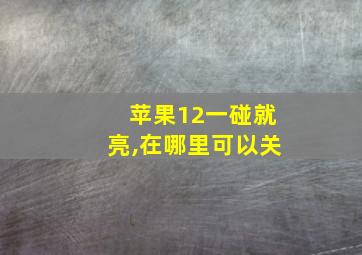 苹果12一碰就亮,在哪里可以关