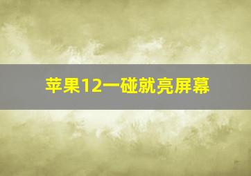 苹果12一碰就亮屏幕