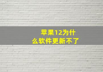 苹果12为什么软件更新不了