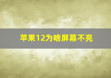 苹果12为啥屏幕不亮