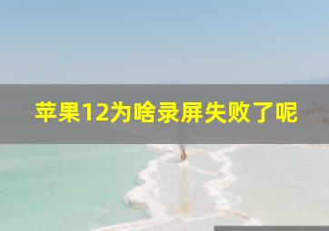 苹果12为啥录屏失败了呢