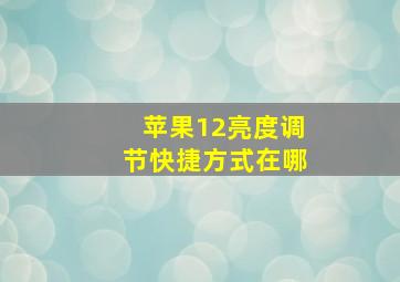 苹果12亮度调节快捷方式在哪