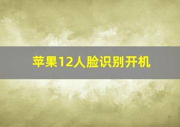 苹果12人脸识别开机