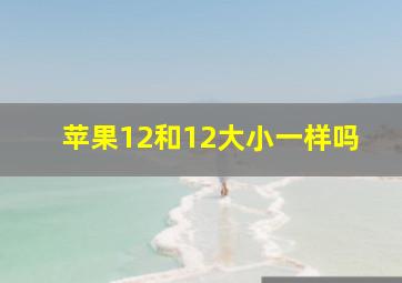 苹果12和12大小一样吗