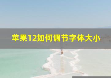 苹果12如何调节字体大小