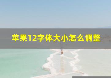 苹果12字体大小怎么调整