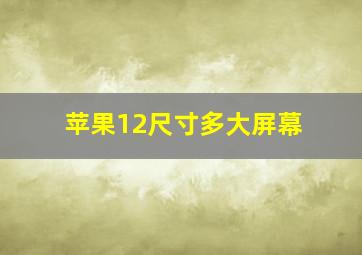 苹果12尺寸多大屏幕