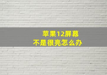 苹果12屏幕不是很亮怎么办