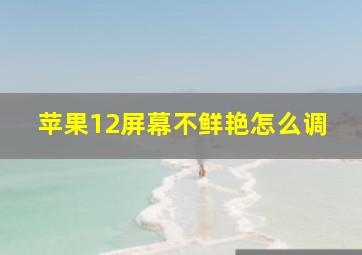 苹果12屏幕不鲜艳怎么调