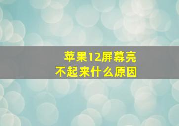 苹果12屏幕亮不起来什么原因