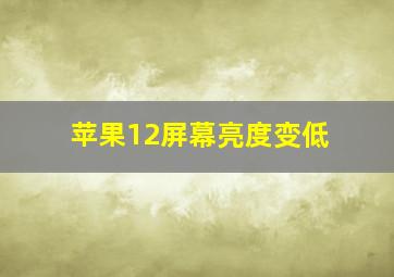 苹果12屏幕亮度变低