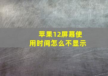 苹果12屏幕使用时间怎么不显示