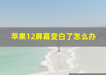 苹果12屏幕变白了怎么办