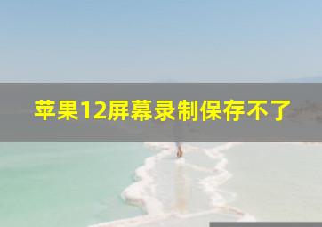 苹果12屏幕录制保存不了