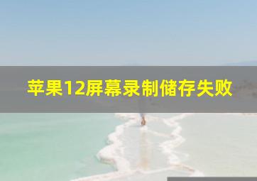 苹果12屏幕录制储存失败