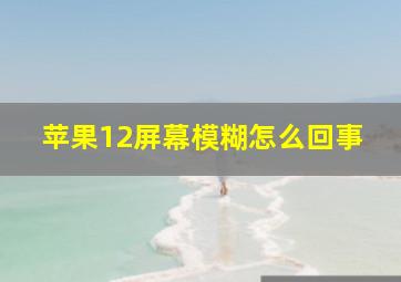 苹果12屏幕模糊怎么回事