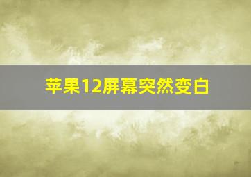 苹果12屏幕突然变白